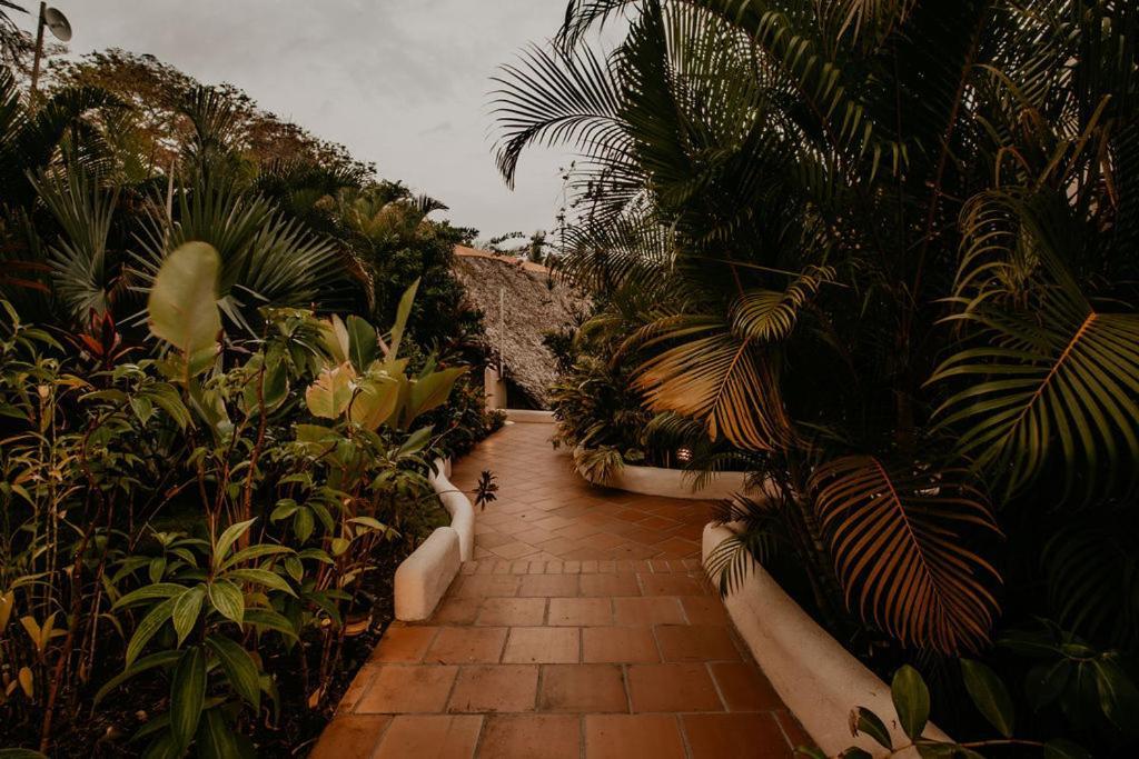 Sansara Surf Yoga & Resort Cambutal Exterior photo